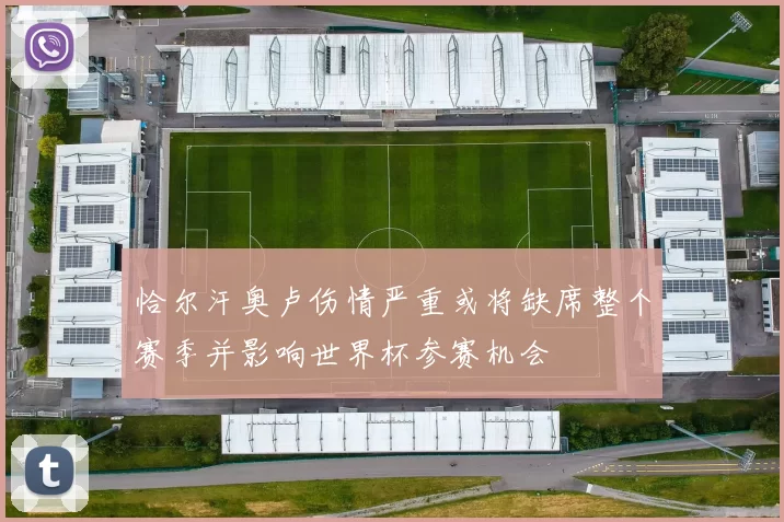 恰尔汗奥卢伤情严重或将缺席整个赛季并影响世界杯参赛机会