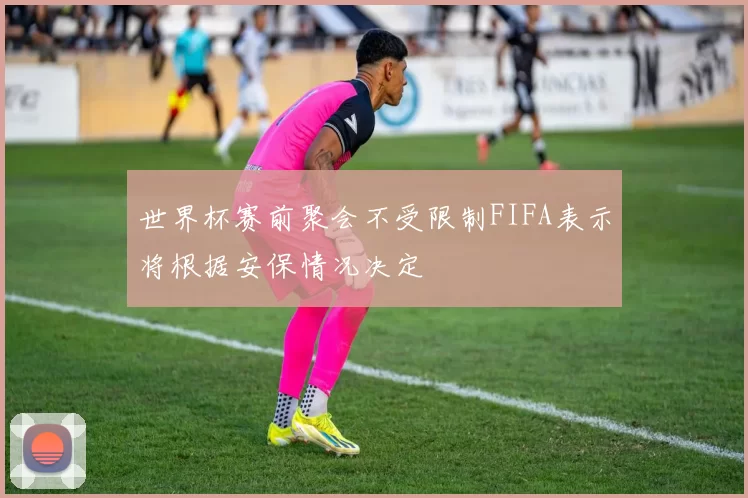 世界杯赛前聚会不受限制FIFA表示将根据安保情况决定