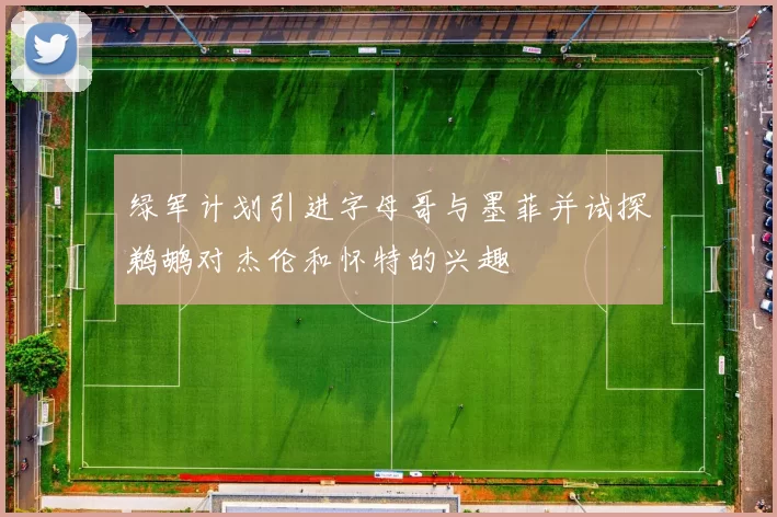 绿军计划引进字母哥与墨菲并试探鹈鹕对杰伦和怀特的兴趣